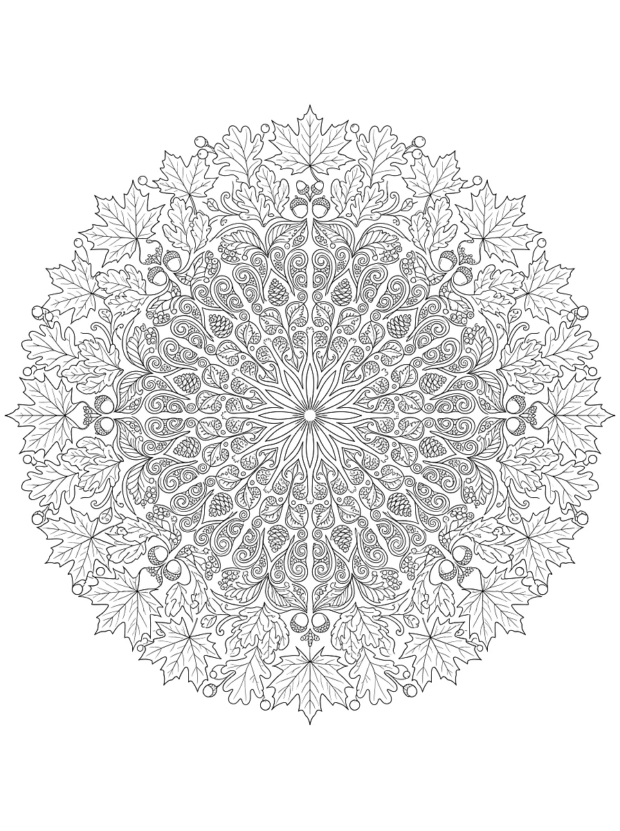 Disegno da colorare: Mandala di foglie d'acero, ghiande e bacche
