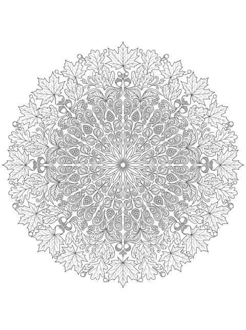 Disegno da colorare: Mandala di foglie d'acero, ghiande e bacche