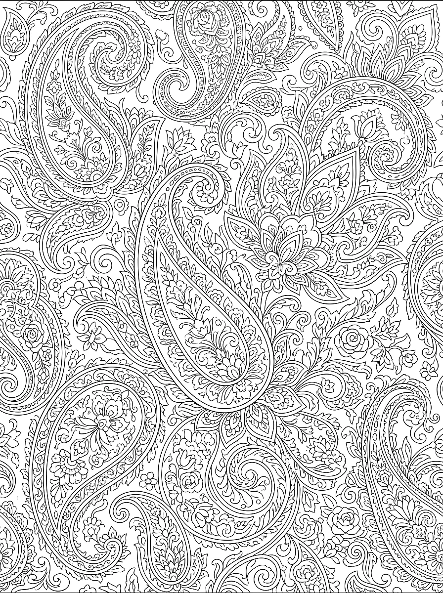 Ausmalbild: Seitenfüllendes Paisley-Muster
