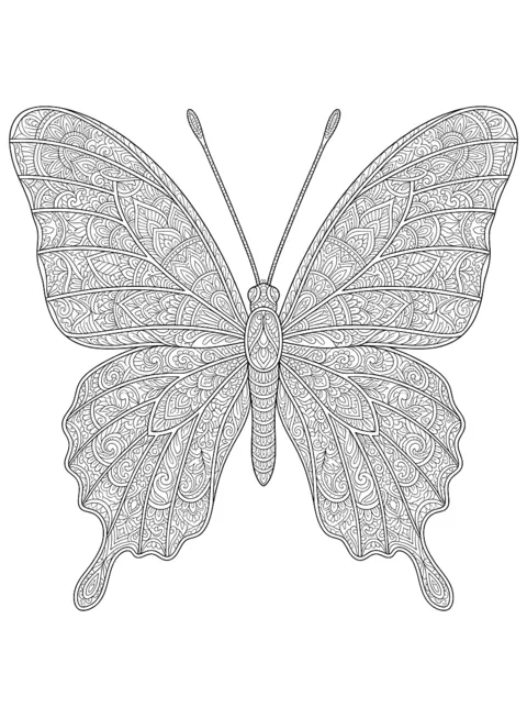 Ausmalbild: Großer Schmetterling mit ornamentierten Flügeln